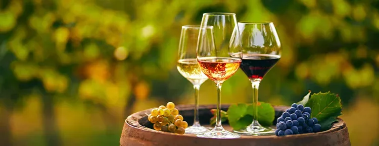 Vino