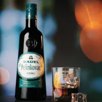 DOMAĆA ALKOHOLNA PIĆA