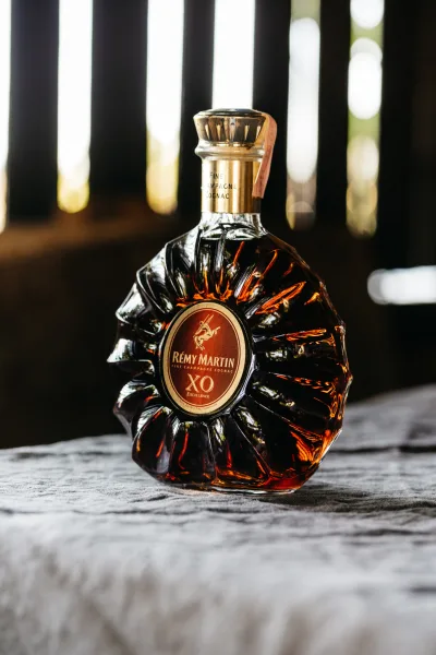 Rémy Martin XO Cognac