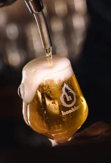 Houblon točeno