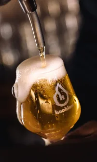 Houblon točeni